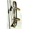 Image 1 : Walla Walla Horsehair Bridle