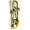 Image 2 : Walla Walla Horsehair Bridle
