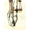 Image 3 : Yuma Prison Horsehair Bridle