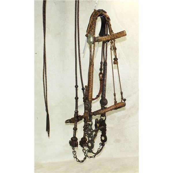 Incredible Braided Leather Bridle