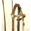 Image 2 : Incredible Braided Leather Bridle