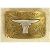 Image 1 : Canon City Belt Buckle