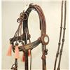 Image 2 : Rawlins Wyoming Horsehair Bridle