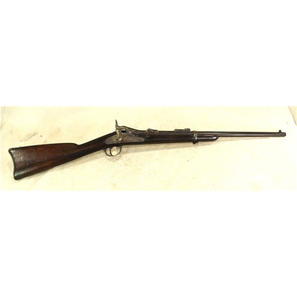 Custer Range Springfield 1873 Carbine