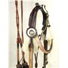 Image 2 : Rawlins Horsehair Bridle