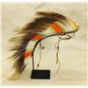 Image 1 : Native American Hair Roach