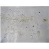 Image 2 : Maytag 40" Chest Freezer