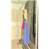 Image 2 : MEDIEVAL PEASANT DRESS - DAILY RENTAL $85.00