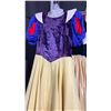 Image 9 : 5 COSTUMES INCLUDING 2 SNOW WHITE, 1 EVIL QUEEN, NEPTUNE GOD OF THE SEA & MORE