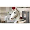 Image 2 : HORSE HEAD COSTUME TOP