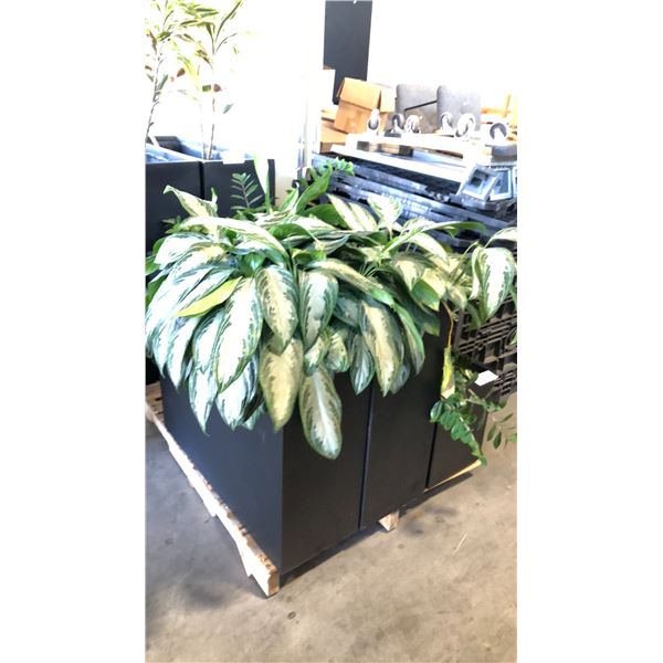 4 BLACK PLASTIC PLANTER BOXES 2-D12" X W36" X H30" 2-D12" X W36" X H16" - WITH PLANTS