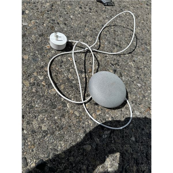 Google Home Mini Music Player Works