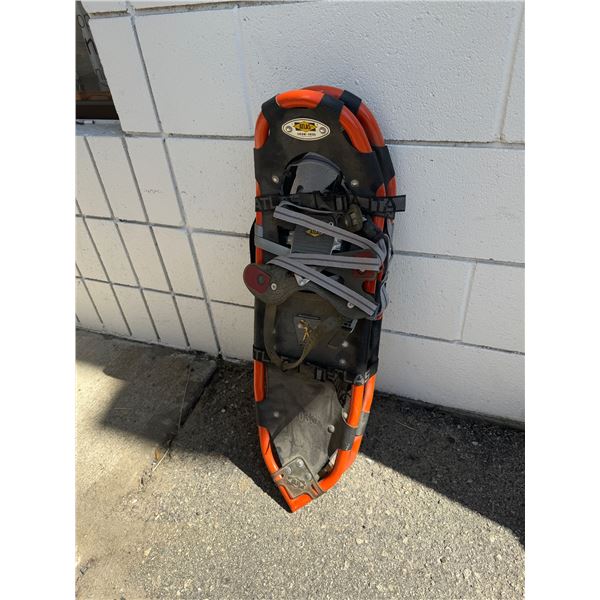 Snowshoes