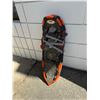 Image 1 : Snowshoes