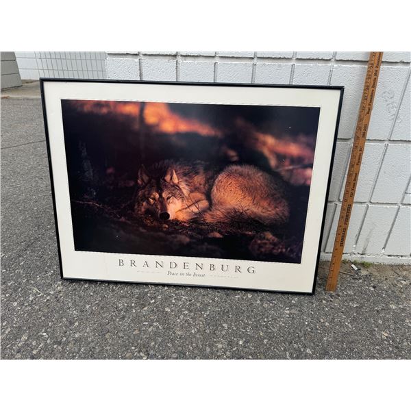 Braden Burg Peace in the forest