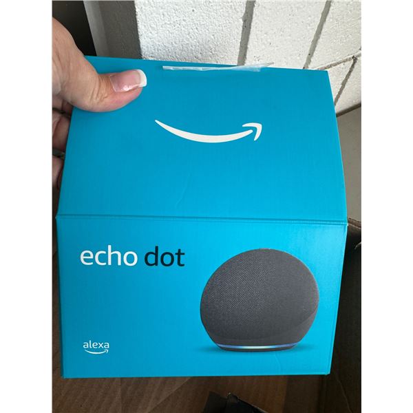 Echo dot Alexa
