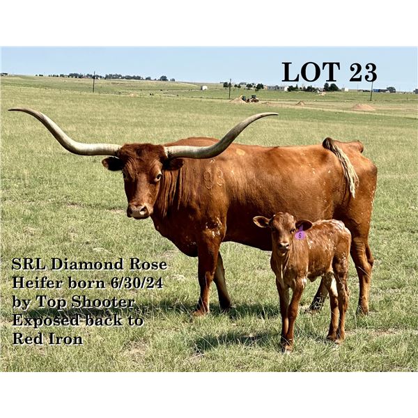 SRL DIAMOND ROSE