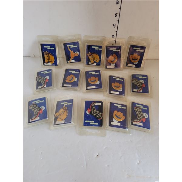 Lot of 15 Light Up Magnetic Country Themed Pins | New