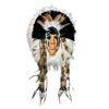 Image 1 : Pottery First Nations Mask With Feathers Signed And Dated