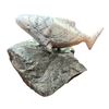 Image 1 : Carved Fish On Possible Raw Jade Rock, Signed Jsidora Markovie 2002