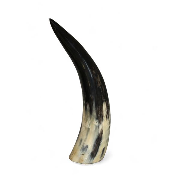 Polished Horn With Felt Base