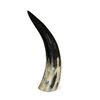 Image 1 : Polished Horn With Felt Base
