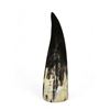 Image 2 : Polished Horn With Felt Base