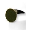 Image 3 : Polished Horn With Felt Base