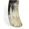 Image 4 : Polished Horn With Felt Base