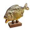 Image 1 : Taxidermy Piranha On Base