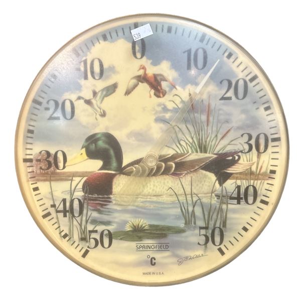 Springfield Ducks Thermometer