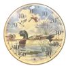 Image 1 : Springfield Ducks Thermometer