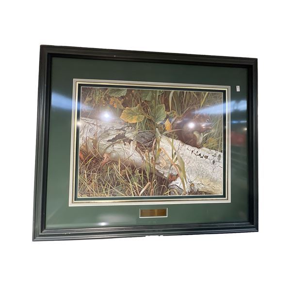 Framed Print "Foragers Reward" Red Squirrel By Carl Brenders #929/1250