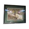 Image 1 : Framed Print "Foragers Reward" Red Squirrel By Carl Brenders #929/1250
