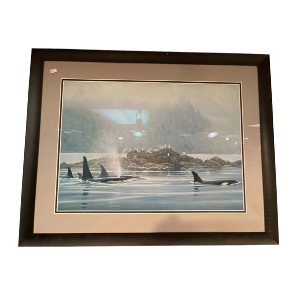 Framed Robert Bateman Print Of Killer Whales And Birds, 1985