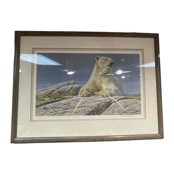 Framed Robert Bateman Print Of Polar Bear #388/950 Signed In Pencil By Robert Bateman