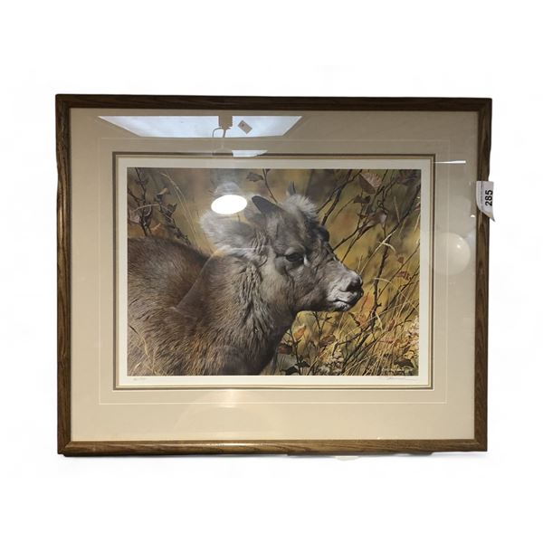 Framed Print Of Cow  #427/1950 By C. Brenders Signed In Pencil By C.Brenders