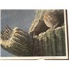 Image 2 : Framed Robert Bateman Print #673/950 Signed In Pencil By Robert Bateman