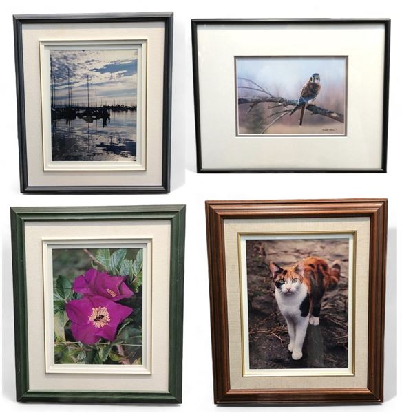 4 Assorted Framed Pictures, Flowers, Birds, Cat, Etc..