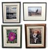 Image 1 : 4 Assorted Framed Pictures, Flowers, Birds, Cat, Etc..