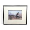Image 4 : 4 Assorted Framed Pictures, Flowers, Birds, Cat, Etc..