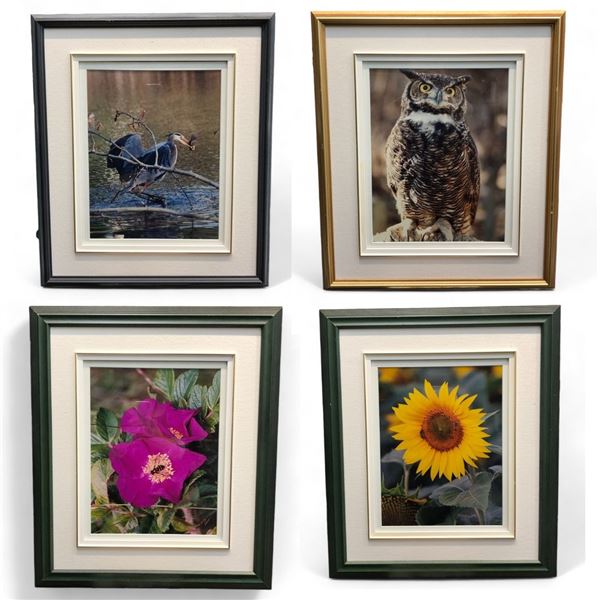 4 Assorted Framed Pictures, Owl, Flowers, And Cranes