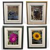 Image 1 : 4 Assorted Framed Pictures, Owl, Flowers, And Cranes