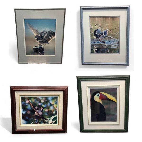 4 Assorted Framed Pictures, Bird, Parrot, And Cranes