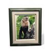 Image 3 : 3 Assorted Framed Pictures, Monkey, Tiger, And Flamingo