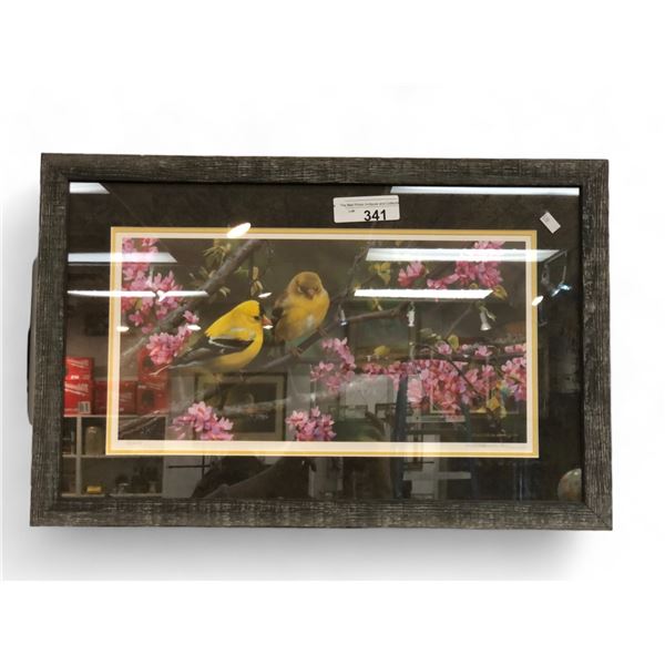 Framed Print Of Birds By C.Brenders #538/2500