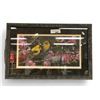 Image 1 : Framed Print Of Birds By C.Brenders #538/2500