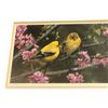 Image 2 : Framed Print Of Birds By C.Brenders #538/2500