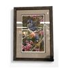Image 1 : Framed Print "Flash Of Sapphire Blue Jay " By Carl Brenders #472/2500
