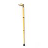 Image 1 : 3 Piece Cane With Brass Bird Head Top